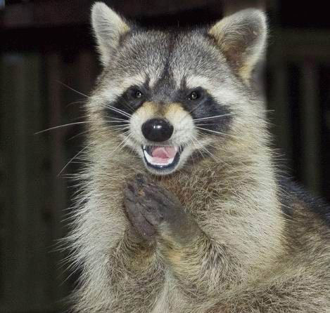     - 4