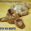���� ����������, ������ - ��������� 27 ���� 2015 � ������ ���� ����������