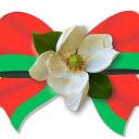 ���� ������� - �� ��������!, �������� - ��������� 14 ���� 2015 � ������ ������ ��������