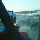 ���� �����, ������ �������� - ��������� 8 ������� 2015 � ������ ���� ����������