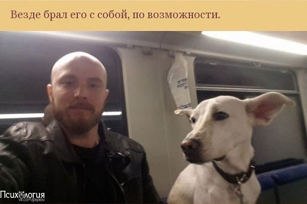 Как пес отплатил своему хозяину за спасение.Все мы слышали трогательные истории о преданности собак ... - 3