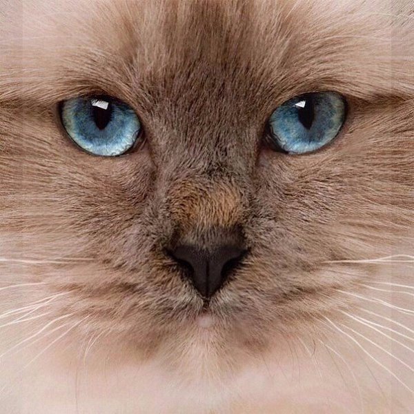       - 22  2015  05:02 - 3