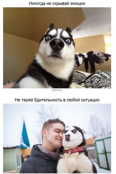    - 3