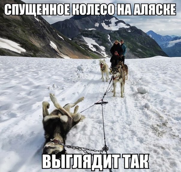  - 29  2015  16:57