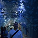 ���� Sergey, �����, 46 ��� - ��������� 18 ������� 2015 � ������ ���� ����������