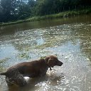 ���� ����, ���������, 63 ���� - ��������� 26 ������� 2015