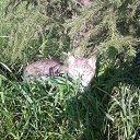  ♥♥, - -  18  2015    