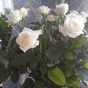  Irina, , 54  -  26  2015   *My flowers*