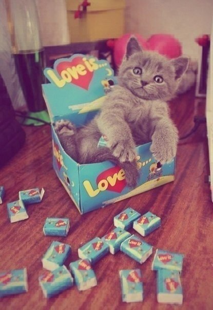 Love is :)