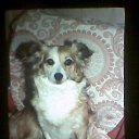 ���� �������, ������, 63 ���� - ��������� 3 ���� 2015 � ������ ���� ����������