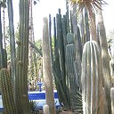 ���� Iga, ������� - ��������� 13 �������� 2015 � ������ ���� ����������