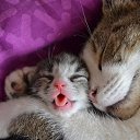 ���� ~&hearts;�&Auml;&uacute;&sigmaf;&hearts;~, ���� - ��������� 8 ������� 2015 � ������ ������ ��������