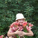 ���� ����, ����, 67 ��� - ��������� 14 ���� 2015 � ������ ���� ����������