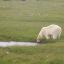 ���� ���������� �� ������� �������