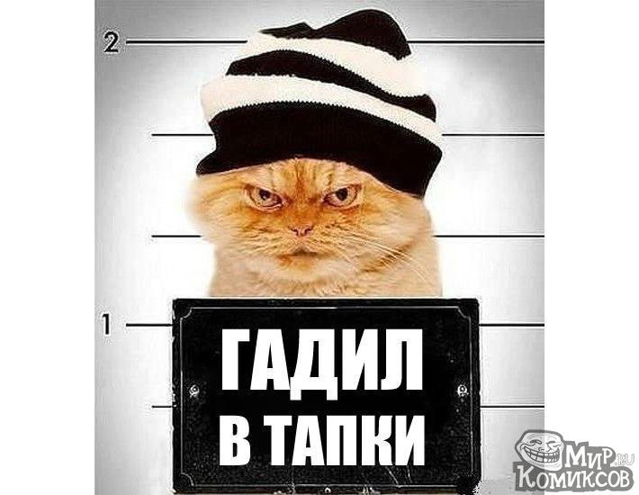 This is  - 11  2015  15:26