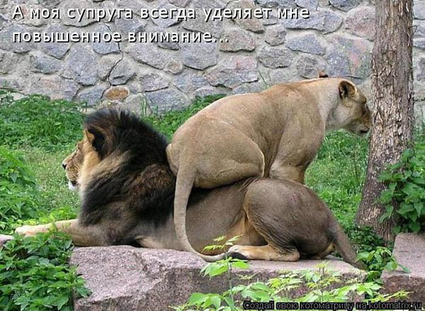 Никто меня не любит так, как я, или инструкция по влезанию на шею!)).О каком мужчине для совместной ...