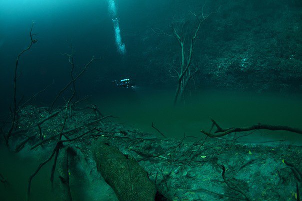    Cenote Angelita,   30    .     ...