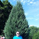 ����������� �� ������� ���� ����������