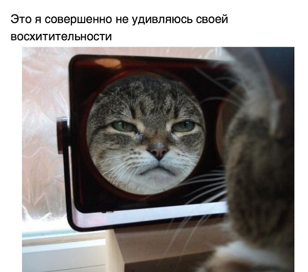  ,    . - 11