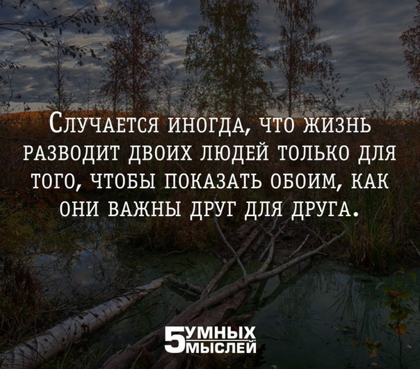 5 умных мыслей в картинках