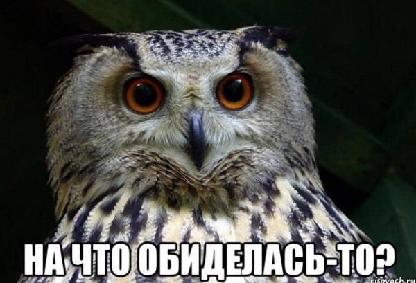 ... - 5