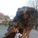  Viktorija, , 58  -  24  2015    