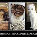 ���� ���������, �����������, 37 ��� - ��������� 7 ��� 2015