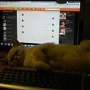 ���� ��������, ������, 43 ���� - ��������� 3 ���� 2015 � ������ ���� ����������