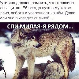  Maxim, , 40  -  24  2015