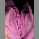 ���� ������, ������, 64 ���� - ��������� 28 ��� 2015 � ������ ������ ��������