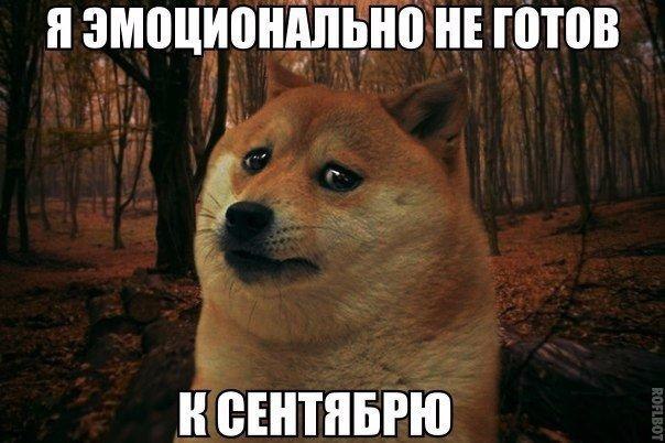 - 23  2015  20:17
