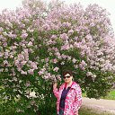 Tallinn �� ������� ���������� ������