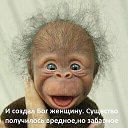 ���� ���������, ��������, 41 ��� - ��������� 20 ������� 2015 � ������ ���� ����������