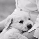 ���� ������, �������� - ��������� 20 ������� 2015 � ������ ������ ��������