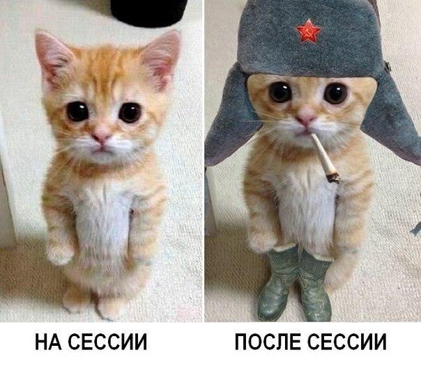  - 10  2015  20:40