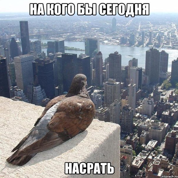    :D - 19  2015  20:25