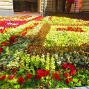  , , 65  -  26  2015    »