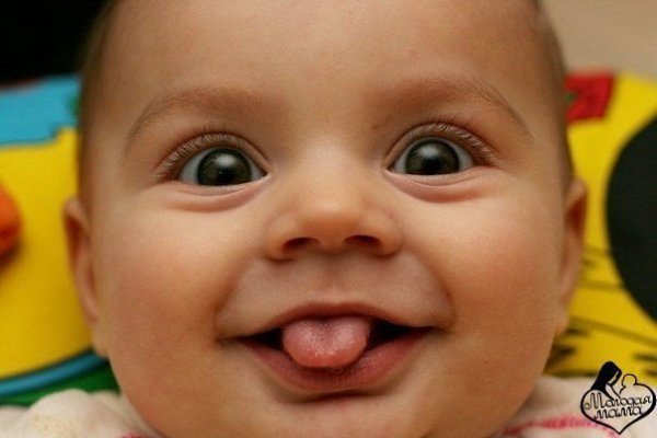     ,   ,   ,  ,     ...