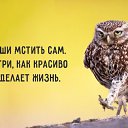  ,  -  19  2015    