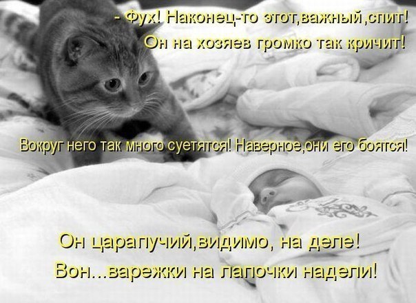       - 10  2015  19:30