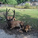 ���� �������, �������, 54 ���� - ��������� 1 ������� 2015 � ������ ���� ����������