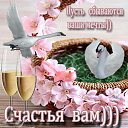  Alexandr, , 63  -  8  2015    