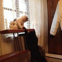 ���� ������, ������ ���, 49 ��� - ��������� 30 ���� 2015 � ������ ���� ����������