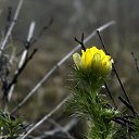 ���� �����, ������, 76 ��� - ��������� 26 ���� 2015 � ������ �����,������ ������