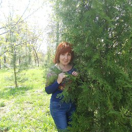 Нина, 61, Волчанск