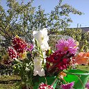 ���� ������, ������, 68 ��� - ��������� 25 �������� 2015 � ������ ���� ����������