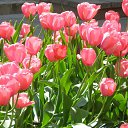 ���� ��������, ������, 48 ��� - ��������� 15 ��� 2015 � ������ ���� ���������..))�