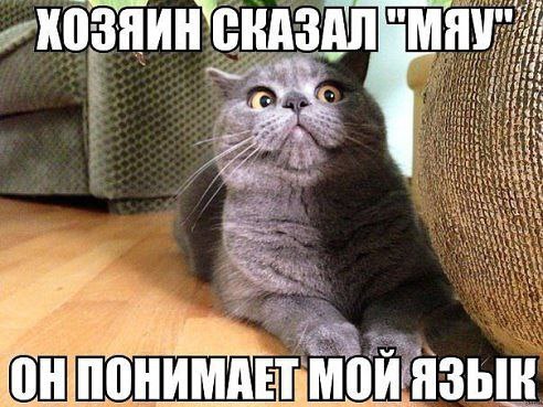   - 4  2015  16:47