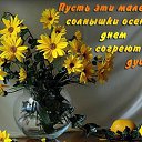 ���� ����, �����, 74 ���� - ��������� 3 �������� 2015 � ������ ������ ��������