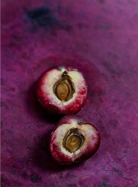 |В| Счастье есть... |В| - 6 мая 2015 в 09:46 - 3